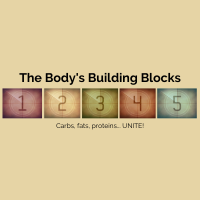 Building blocks of sales fat